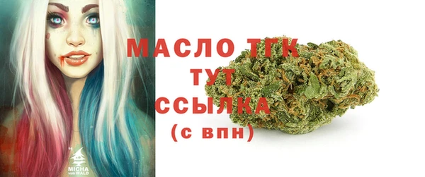 шишки Богородицк