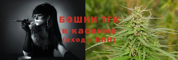шишки Богородицк