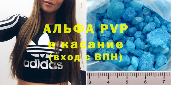 шишки Богородицк