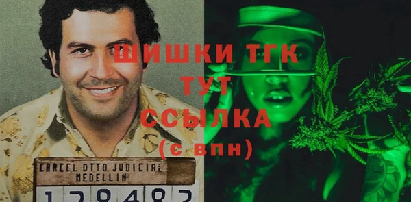 МДПВ Бородино