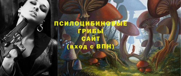 дживик Богородск
