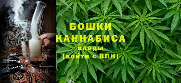 шишки Богородицк