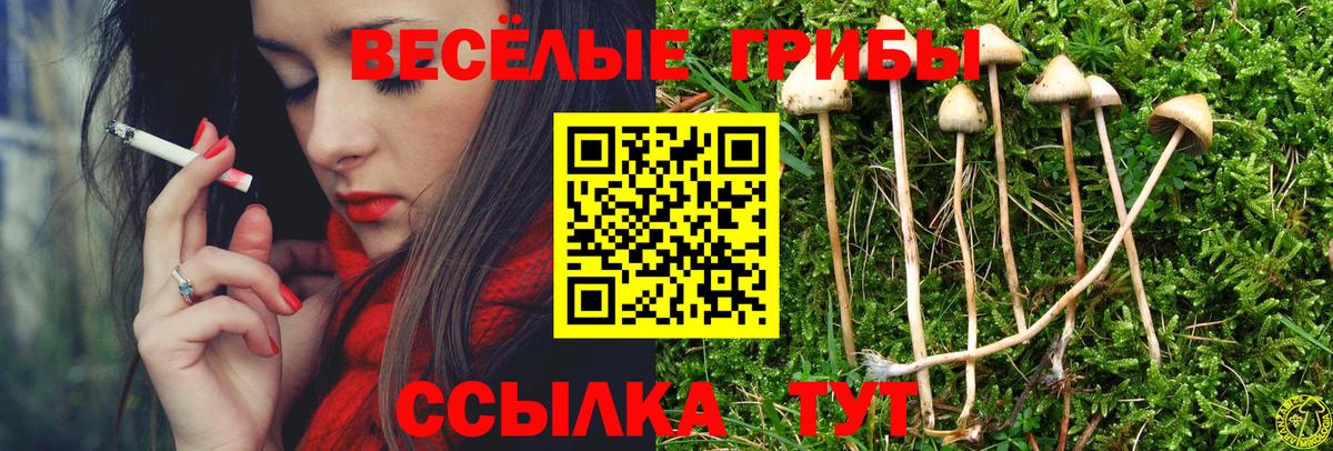 Псилоцибиновые грибы MAGIC MUSHROOMS Видное